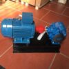 Bơm nhớt bánh răng PEROTAC MRB hàng thực tế – maybomtk.net